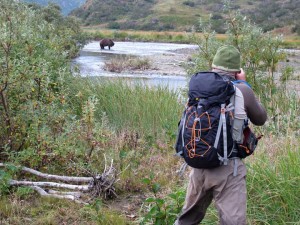Alaska Bear Photography