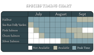 SAFARI Species Timing