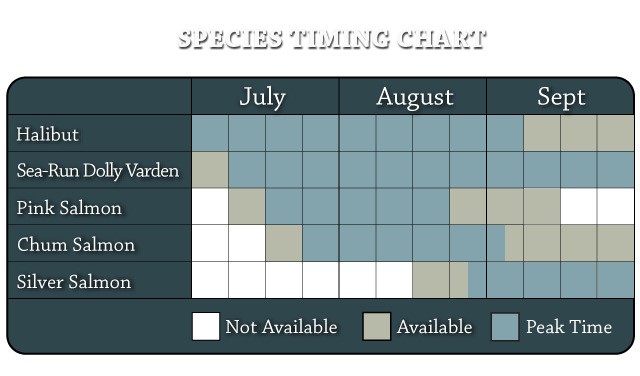 SAFARI Species Timing